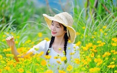 夜机免费视频在线观看